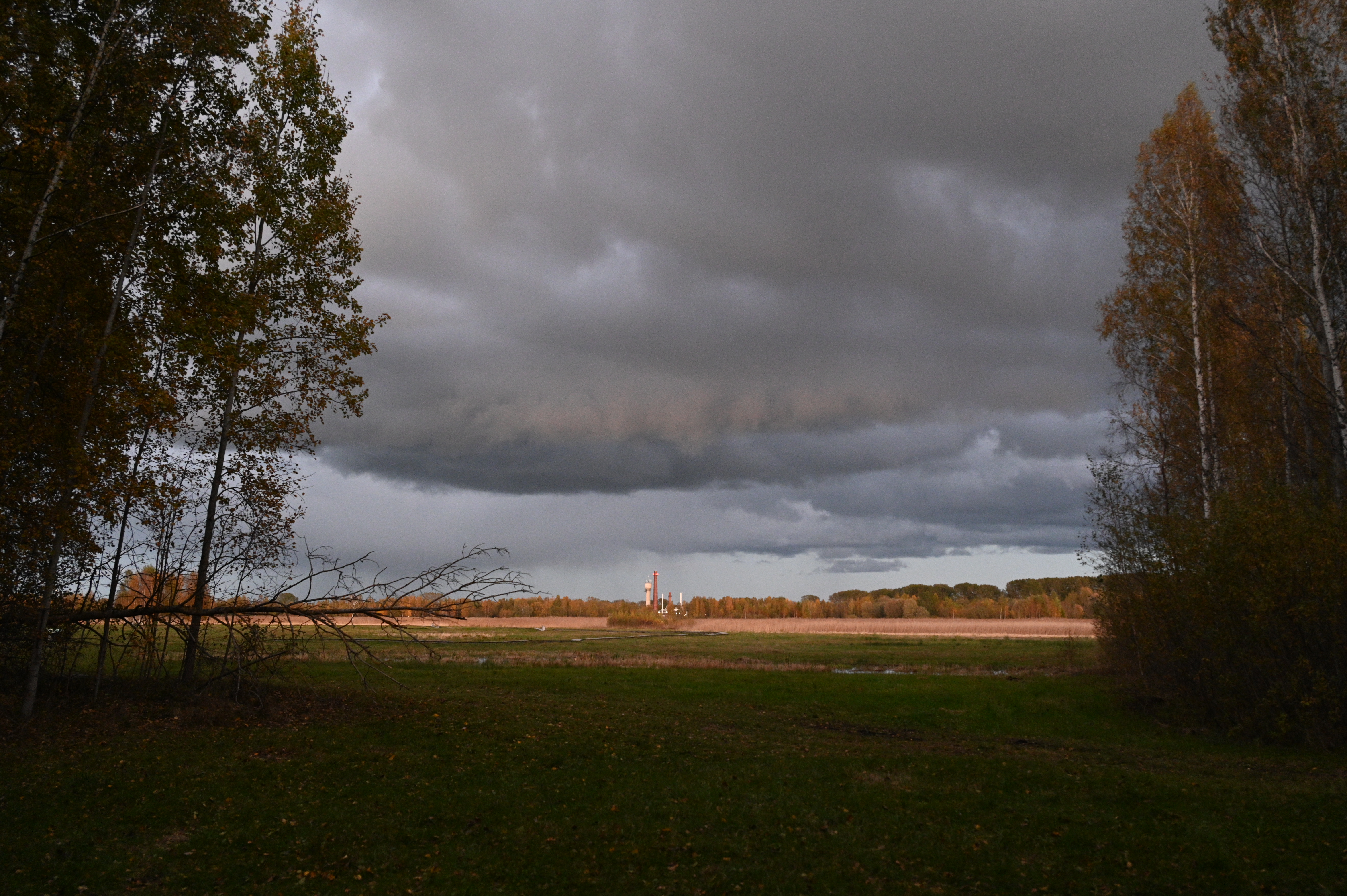 2025/10/18 - walk/DSC_0593.JPG